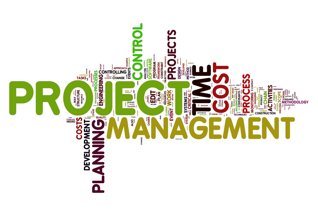 P1-MS11 - Project Management