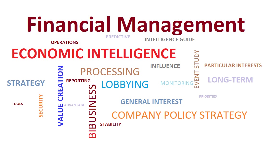 MM11 - Financial Management, Investment and Economic Intelligence